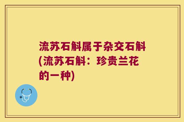 流苏石斛属于杂交石斛(流苏石斛：珍贵兰花的一种)