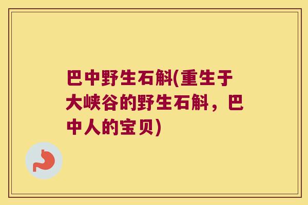 巴中野生石斛(重生于大峡谷的野生石斛，巴中人的宝贝)