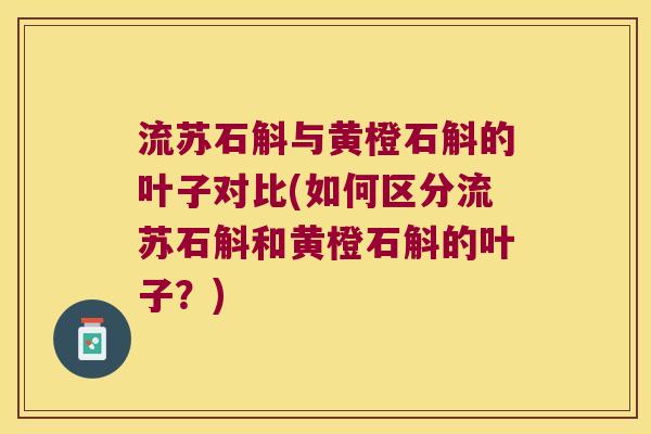 流苏石斛与黄橙石斛的叶子对比(如何区分流苏石斛和黄橙石斛的叶子？)