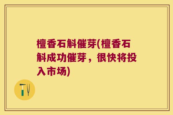 檀香石斛催芽(檀香石斛成功催芽，很快将投入市场)