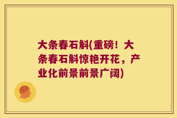 大条春石斛(重磅！大条春石斛惊艳开花，产业化前景前景广阔)