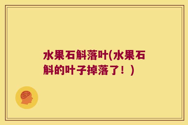 水果石斛落叶(水果石斛的叶子掉落了！)