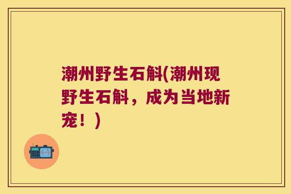 潮州野生石斛(潮州现野生石斛，成为当地新宠！)