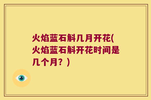 火焰蓝石斛几月开花(火焰蓝石斛开花时间是几个月？)