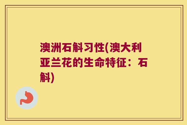 澳洲石斛习性(澳大利亚兰花的生命特征：石斛)