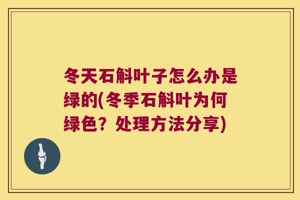 冬天石斛叶子怎么办是绿的(冬季石斛叶为何绿色？处理方法分享)