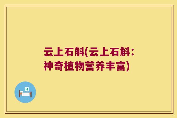 云上石斛(云上石斛：神奇植物营养丰富)