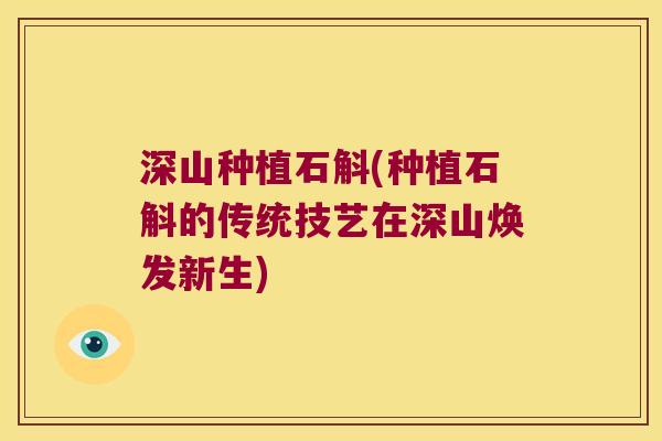 深山种植石斛(种植石斛的传统技艺在深山焕发新生)