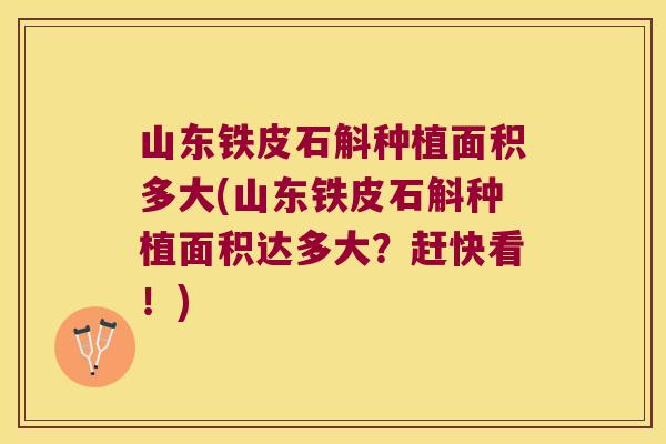 山东铁皮石斛种植面积多大(山东铁皮石斛种植面积达多大？赶快看！)