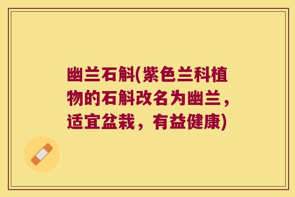 幽兰石斛(紫色兰科植物的石斛改名为幽兰，适宜盆栽，有益健康)