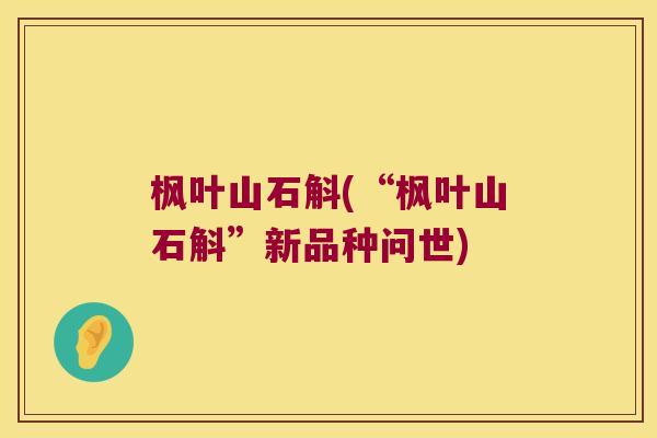 枫叶山石斛(“枫叶山石斛”新品种问世)