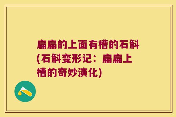 扁扁的上面有槽的石斛(石斛变形记：扁扁上槽的奇妙演化)