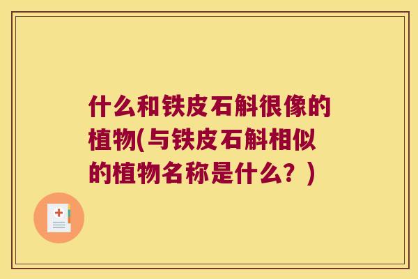 什么和铁皮石斛很像的植物(与铁皮石斛相似的植物名称是什么？)