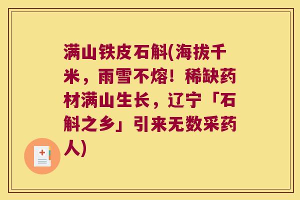 满山铁皮石斛(海拔千米，雨雪不熔！稀缺药材满山生长，辽宁「石斛之乡」引来无数采药人)