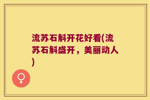 流苏石斛开花好看(流苏石斛盛开，美丽动人)