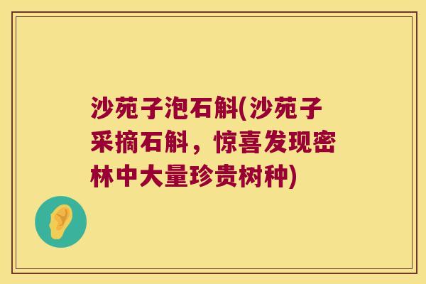 沙苑子泡石斛(沙苑子采摘石斛，惊喜发现密林中大量珍贵树种)