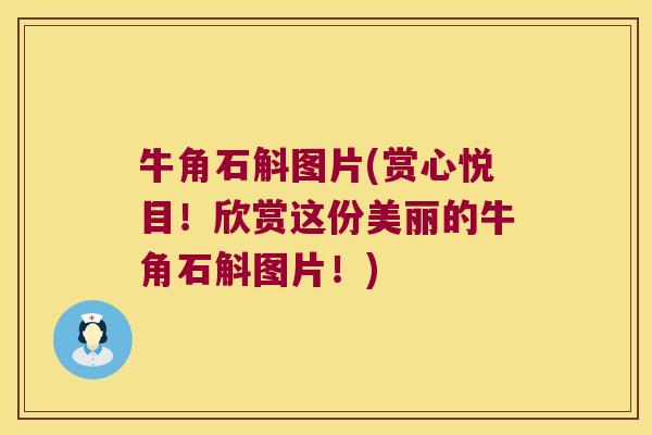 牛角石斛图片(赏心悦目！欣赏这份美丽的牛角石斛图片！)