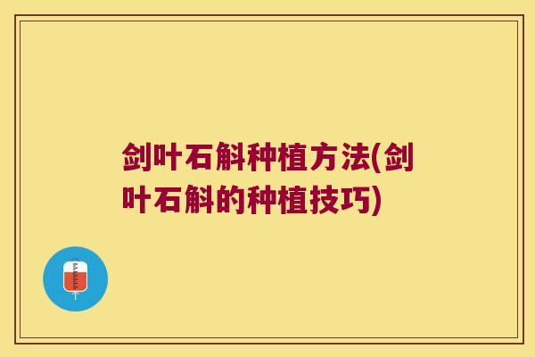 剑叶石斛种植方法(剑叶石斛的种植技巧)