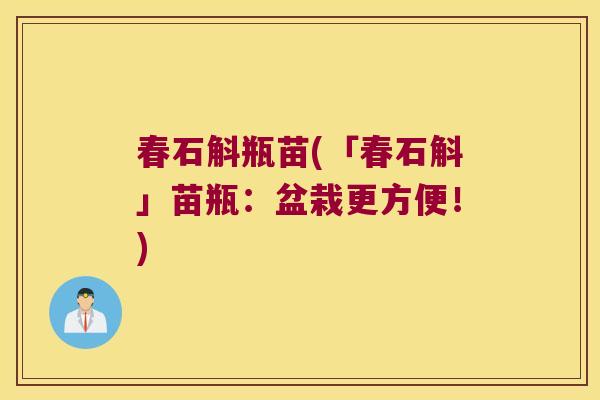 春石斛瓶苗(「春石斛」苗瓶：盆栽更方便！)