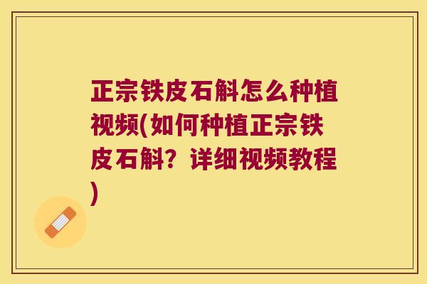 正宗铁皮石斛怎么种植视频(如何种植正宗铁皮石斛？详细视频教程)