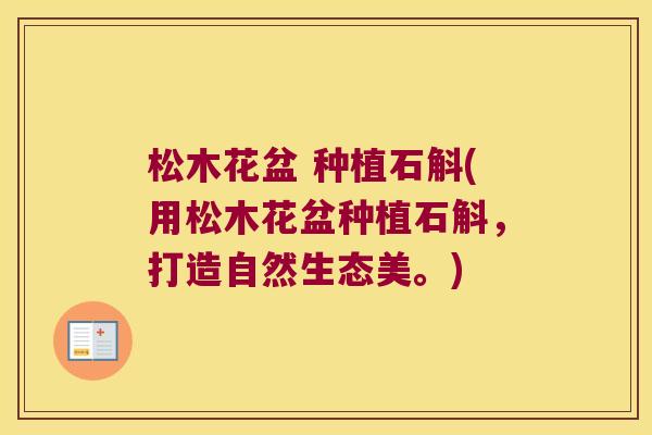 松木花盆 种植石斛(用松木花盆种植石斛，打造自然生态美。)