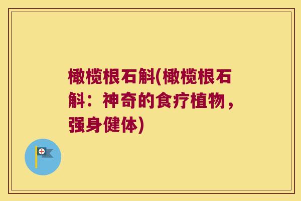 橄榄根石斛(橄榄根石斛：神奇的食疗植物，强身健体)