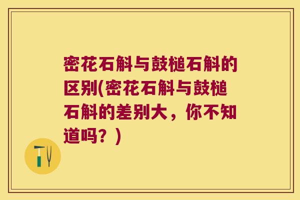 密花石斛与鼓槌石斛的区别(密花石斛与鼓槌石斛的差别大，你不知道吗？)