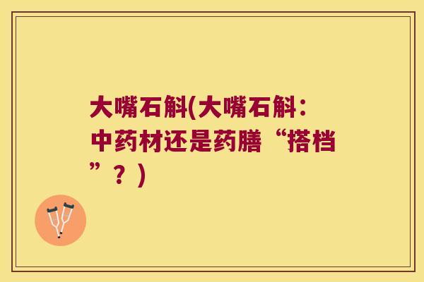大嘴石斛(大嘴石斛:材还是药膳“搭档”?) 大嘴石斛(大嘴石斛:材还是药膳“搭档”?)