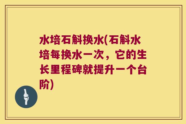 水培石斛换水(石斛水培每换水一次，它的生长里程碑就提升一个台阶)
