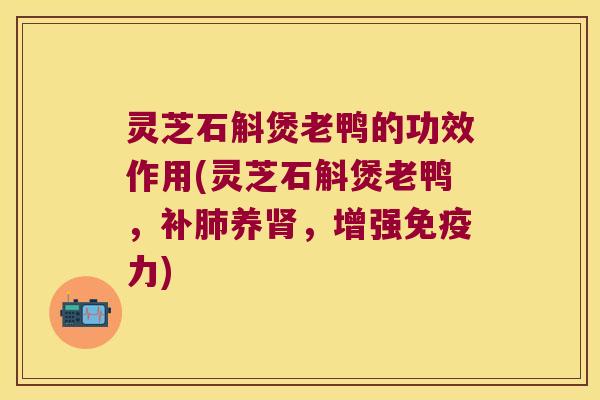 灵芝石斛煲老鸭的功效作用(灵芝石斛煲老鸭，补肺养肾，增强免疫力)
