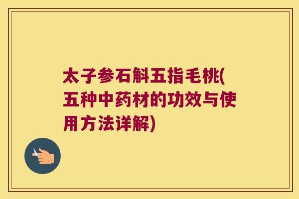 太子参石斛五指毛桃(五种中药材的功效与使用方法详解)