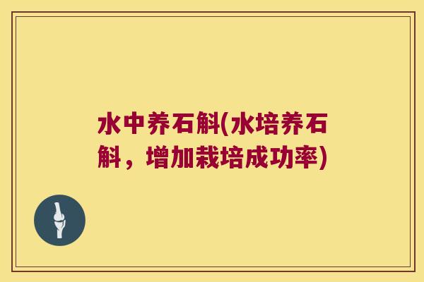 水中养石斛(水培养石斛，增加栽培成功率)