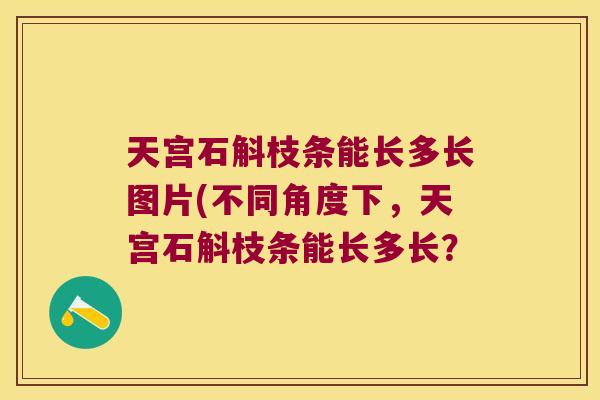 天宫石斛枝条能长多长图片(不同角度下，天宫石斛枝条能长多长？