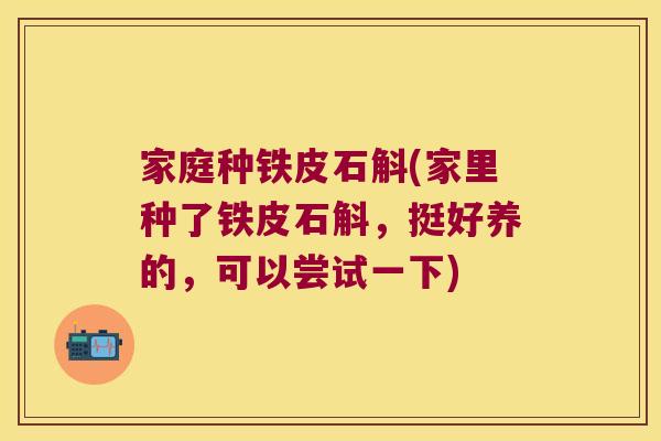 家庭种铁皮石斛(家里种了铁皮石斛，挺好养的，可以尝试一下)