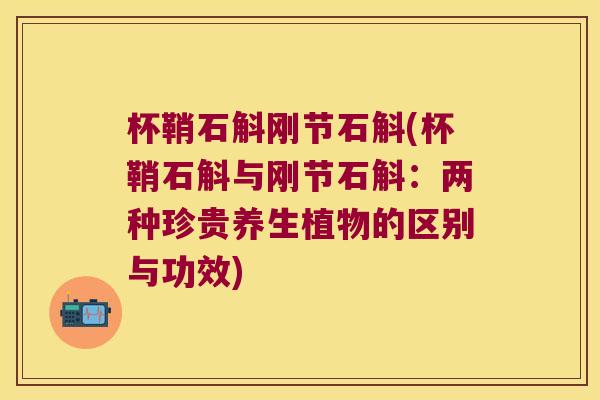 杯鞘石斛刚节石斛(杯鞘石斛与刚节石斛：两种珍贵养生植物的区别与功效)