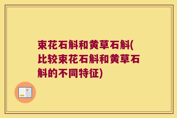 束花石斛和黄草石斛(比较束花石斛和黄草石斛的不同特征)