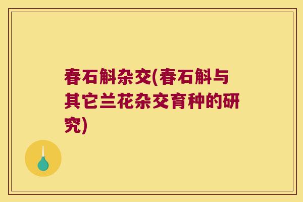 春石斛杂交(春石斛与其它兰花杂交育种的研究)