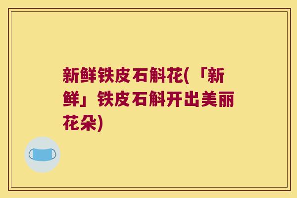 新鲜铁皮石斛花(「新鲜」铁皮石斛开出美丽花朵)