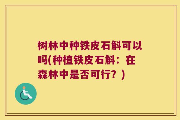 树林中种铁皮石斛可以吗(种植铁皮石斛：在森林中是否可行？)