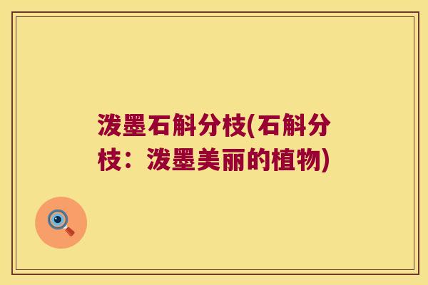泼墨石斛分枝(石斛分枝：泼墨美丽的植物)
