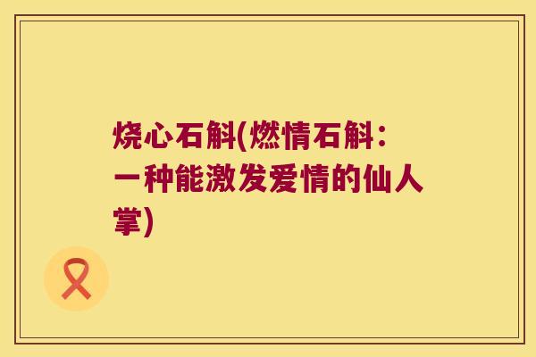 烧心石斛(燃情石斛：一种能激发爱情的仙人掌)