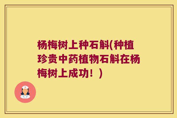 杨梅树上种石斛(种植珍贵中药植物石斛在杨梅树上成功！)