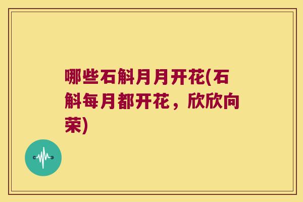 哪些石斛月月开花(石斛每月都开花，欣欣向荣)