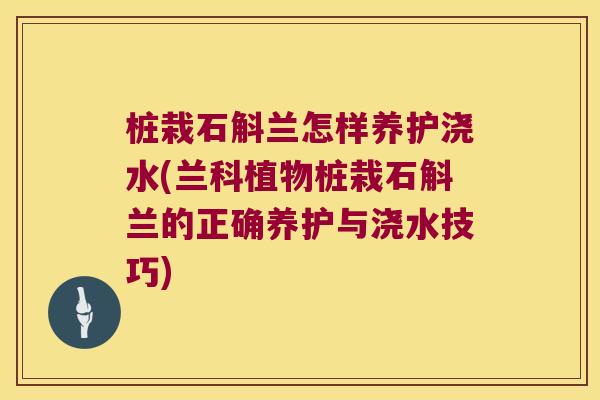 桩栽石斛兰怎样养护浇水(兰科植物桩栽石斛兰的正确养护与浇水技巧)