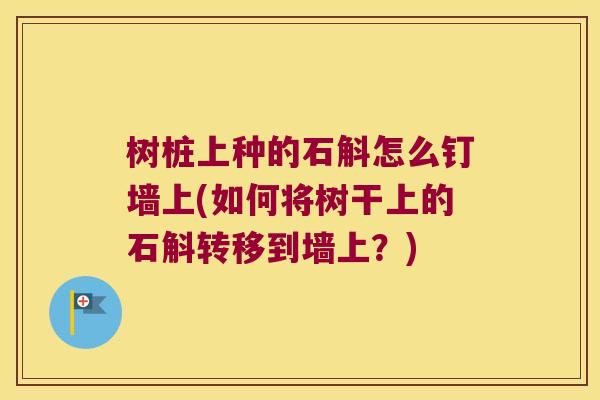 树桩上种的石斛怎么钉墙上(如何将树干上的石斛转移到墙上？)