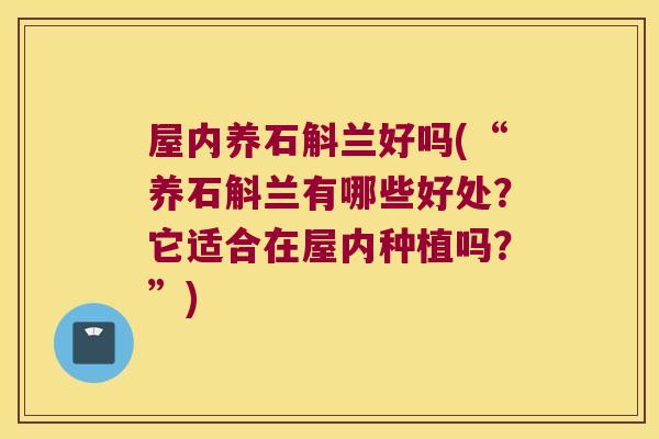屋内养石斛兰好吗(“养石斛兰有哪些好处？它适合在屋内种植吗？”)