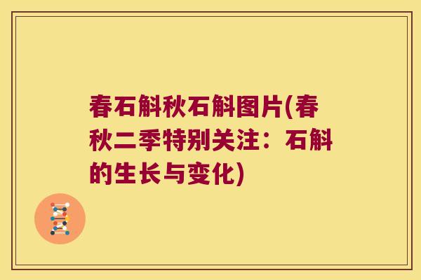 春石斛秋石斛图片(春秋二季特别关注：石斛的生长与变化)