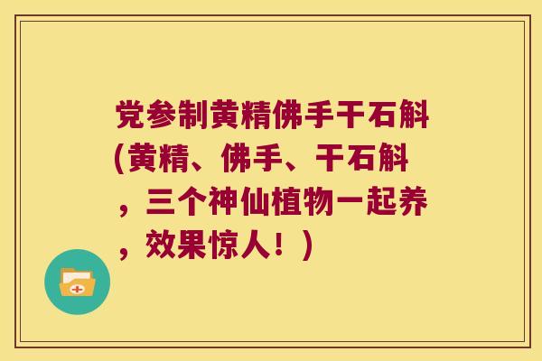 党参制黄精佛手干石斛(黄精、佛手、干石斛，三个神仙植物一起养，效果惊人！)