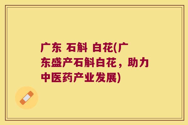 广东 石斛 白花(广东盛产石斛白花，助力中医药产业发展)