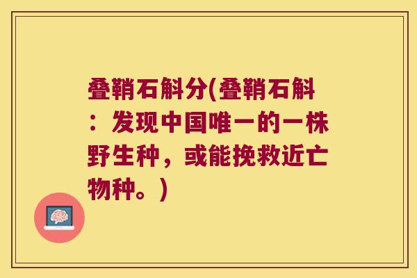叠鞘石斛分(叠鞘石斛：发现中国唯一的一株野生种，或能挽救近亡物种。)